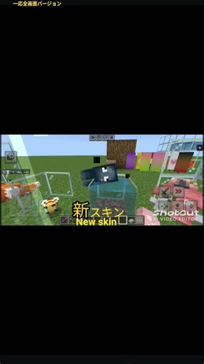 マイクラ1.21.10全画面バージョン#minecart #まいくら #マイクラ