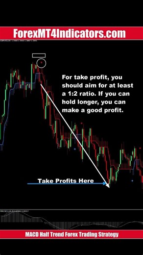 MACD Half Trend Forex Trading Strategy