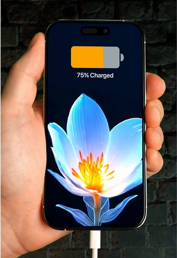Descubre los mejores fondos de pantalla en vivo gratis