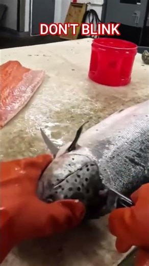 This cut is way too clean