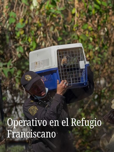 Rescate de Animales en el Refugio Franciscano de Cuajimalpa