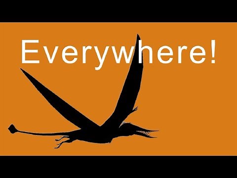 Pterodactyl Sightings - Flying Creatures Around the World