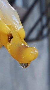 27K views · 259 reactions | Spider shell or saang | Tubigz On | Facebook