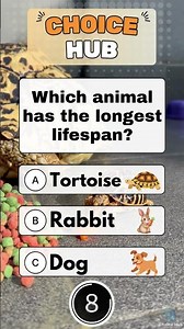 Let’s See How Smart You Really Are 🧐 #quiz #shorts #usa