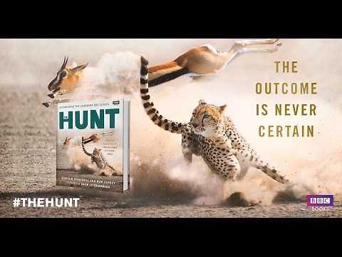 The Hunt: Book Trailer - BBC Books