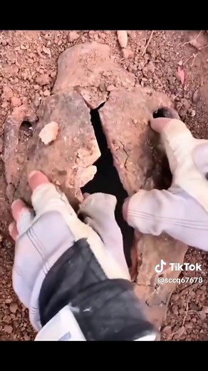 搞笑影片抖音：精选短视频让你大笑的合集