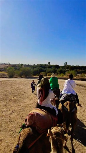 Discover the wonders of Agafay Desert with camel rides #cameladventure #camelride