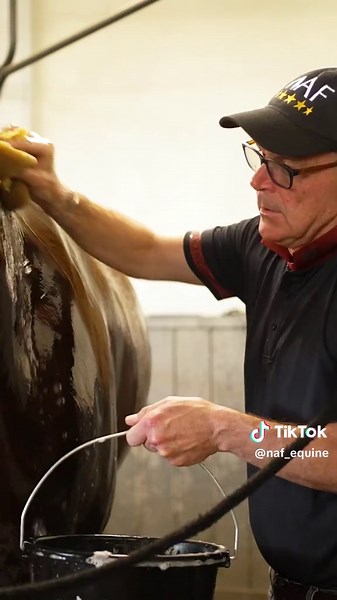 Post-ride cooling routine 💙 #summerhorsecare #equinesport #horseowner #dressage #carlhester #alandaviesgroom #horsegroom