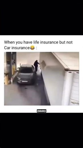 Life Insurance vs. Car Insurance: The Ultimate Test! 😂