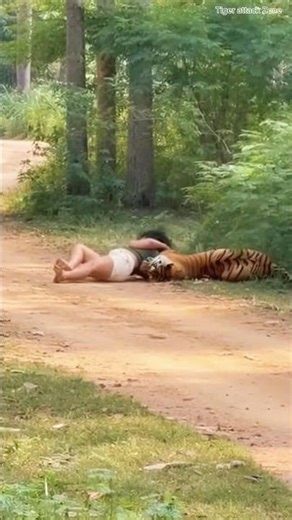 This Jungle Recording Turned Terrifying in Seconds 🐅