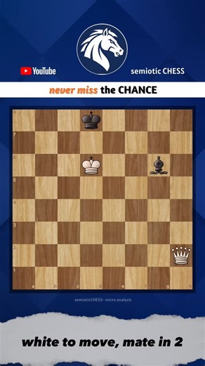 Dr. Kaan Tanyeri on Instagram: "IN 60 SECONDS FIND THE MATE IN 2✅ #semioticchess #chess #satranç #puzzle #dailypuzzle"