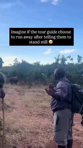 1.2K reactions · 19 comments | When you realize you paid money to be this close to a tank with legs Book with us Today!!  0720719621 Email : info@roamriseadventures.com Website : www.roamriseadventures.com | Roamrise Adventures | Facebook