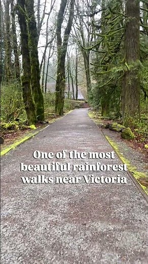 Goldstream Provincial Park | Vancouver Island Private Guided Hike