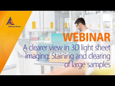 A clearer view in 3D light sheet imaging: Staining and clearing of large samples [WEBINAR]
