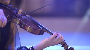 Violinist Performance On Stage Violin Hands Stock Footage Video (100% Royalty-free) 1046327569 | Shutterstock