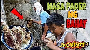 57K views · 736 reactions | LAYWAN NASA PADER NG BAHAY || HONEY BEE  #honeybee #laywan #buhayprobinsya | Batang Tukilam | Facebook