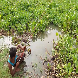 Hunting Big Fish by Hook Fishing in River | Fishing & Village Tradition