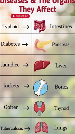 Common Diseases & The Organs They Affect 🩺 | Biology Basics