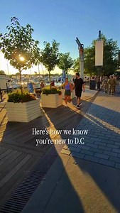 • You stand on the left side of the Metro escalator (immediate giveaway). • You wait for the crosswalk like it’s legally binding… with zero cars coming. • You have yet to enjoy a rooftop happy hour at The Wharf or Navy Yard. • You call it “Washington” instead of “D.C.” • You think the cherry blossoms are a “local secret.” • You still haven’t decided how you feel about mumbo sauce. • You bike on the sidewalk like it’s normal. • You don’t read every single line of the parking sign… and pay for it.