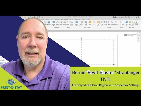 Revit TNT: Fix Grayed Out Crop Region with Scope Box Settings