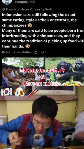 Exploring Indonesian Culture vs Korean Culture: A Culinary Journey