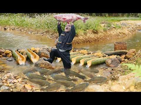 Dwarf Family Traps Fish Using Bamboo Tubes - How to Make a Fish Trap from Bamboo