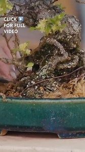 14K views · 166 reactions | These are some of the most expensive products in the world. | Business Insider Africa | Facebook