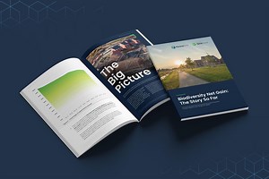 75% of planning applications claim exemptions from Biodiversity Net Gain