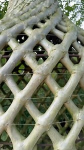 19K views · 335 reactions | Not luck!! It’s Geometry.. #geometry #geometricart #geometricdesign | SACRED GEOMETRY | Facebook