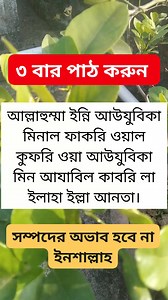 The history of #photography began with the discovery of two critical principles: The first is camera obscura image projection, the second is the discovery that some substances are visibly altered by exposure to light[2]. There are no artifacts or descriptions that indicate any attempt to capture images with light sensitive materials prior to the 18th century. View from the Window at Le Gras 1826 or 1827, believed to be the earliest surviving camera photograph.[1] Original (left) and colorized re