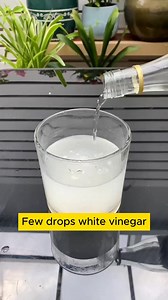 23K views · 245 reactions | Very easy way to water your plants  #gardenizi #gardening #garden | Gardenizi | Facebook