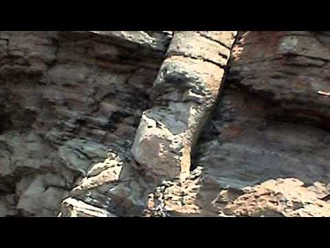 Polystrate Fossils -- evidence against millions of years