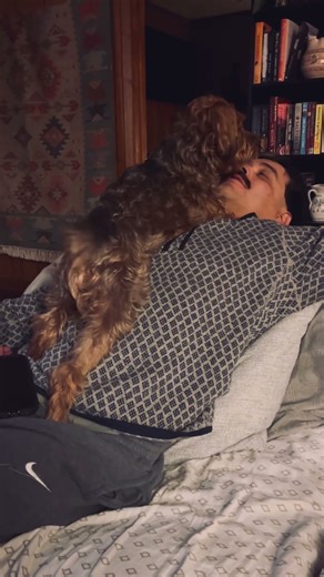 Life with a Yorkie Poo♥️🐶🐾 #happy #dog