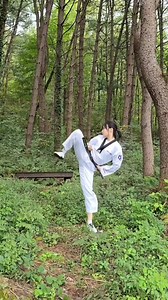 1.1M views · 40K reactions | Side Kick @mirme_official #미르메 #태권도 #옆차기 | Martial Arts & Pen | Facebook