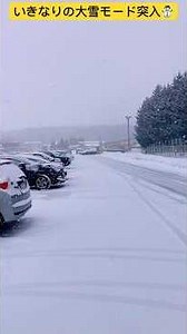 【北海道旭川市】前振りもなくいきなり大雪モードに突入した真冬の旭川市☃️ 現在の気温-6°❄️ #ninjya #shorts #旭川市 #景色 #hokkaido #北海道 #雪 #大雪