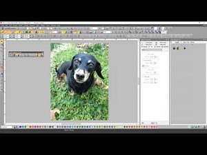 Wilcom EmbroideryStudio e3.0 Elements: Focus on Photo Flash