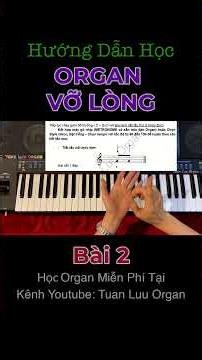 Bài 2 #tuanluuorgan #shorts