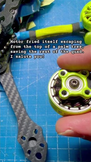 Fried a motor escaping from a palm tree… 🫡 #fpv #fpvlife