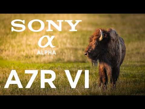 ALL NEW Sony a7R VI - A Week In The Tetons. Sony's Best Camera Ever!!