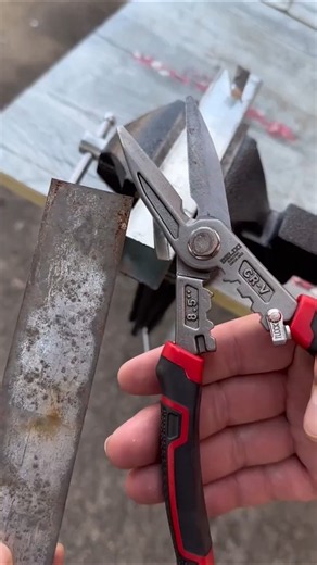 Delixi Sheet Metal Shears Heavy Duty Cutting Tool #tools #hardware #shortsfeed