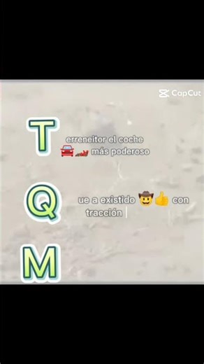 tqm= TERRENEITOR