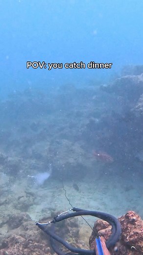 473K views · 4.8K reactions | Kumu catch and cook #catchandcook #seafood #spearfishing #cooking #asmr | Islandcatchandcook | Facebook