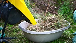 The process of chopping branches into mulch with wood chipper in garden, ecology, wood recycle