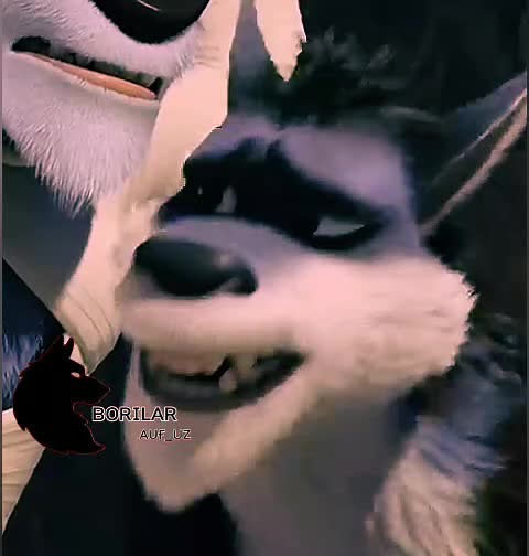 Animated Wolf Character Davom Ertila in Borlarlar