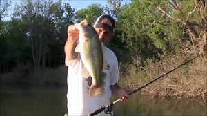 THE FISH ARE MOVING! Get fishing reports from the Southwest region on our show! | Let's Fish TV