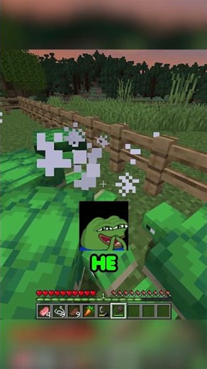 the turtle was sus #gaming #youtube #funny #minecraft #memes #tiktok #shorts #ytshorts