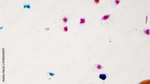 Plant pollen under microscope, 100x. Different examples of pollen from different plants. Smooth focus and movement. Reproduction and biodiversity. Breeding work in scientific botanical center