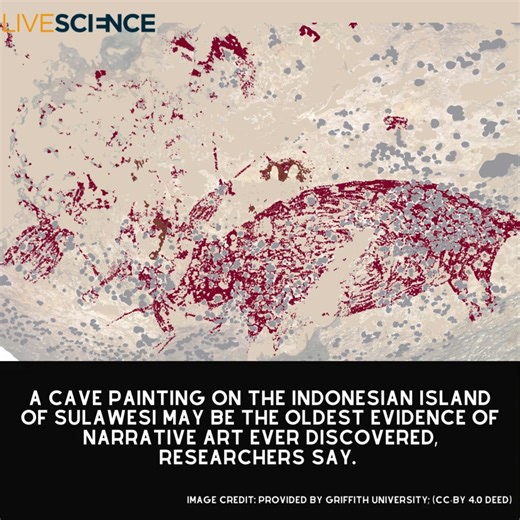 A 51,000-year-old painting in the Sulawesi cave "art gallery" is the oldest evidence of narrative rock art ever discovered. Read more 👉 https://trib.al/zHmWEsc | LiveScience