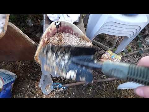 What to do with your rabbits poop