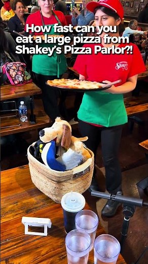 How fast can you eat a large pizza from shakeys pizza parlor 👀✨ #rainaiscrazy